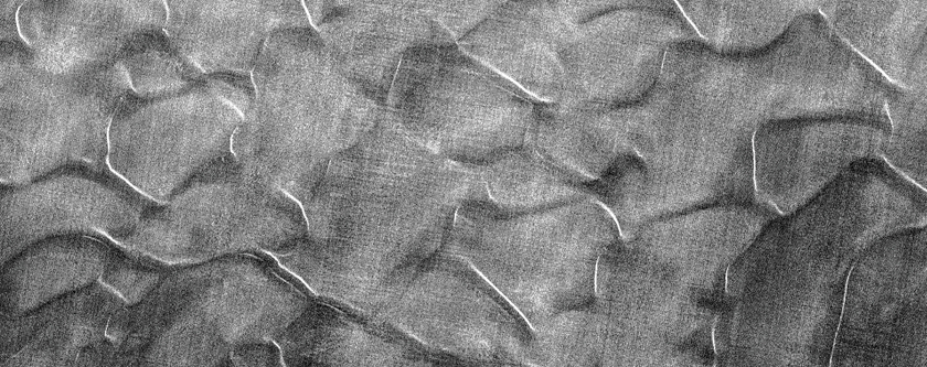 Dunes Dubbed Zanover