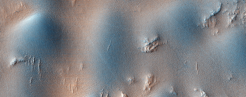 Dome and Barchan Dunes in Newton Crater