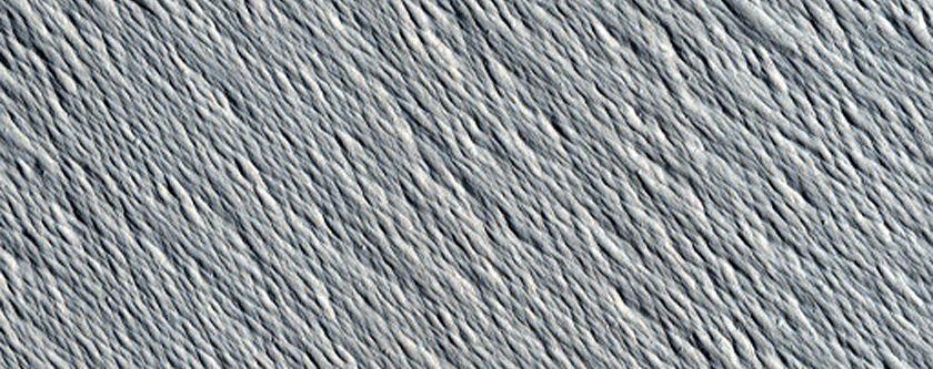 Monitoring New Impact Site