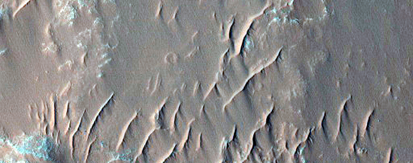 Candidate Landing Site for 2020 Mission in Capri Chasma