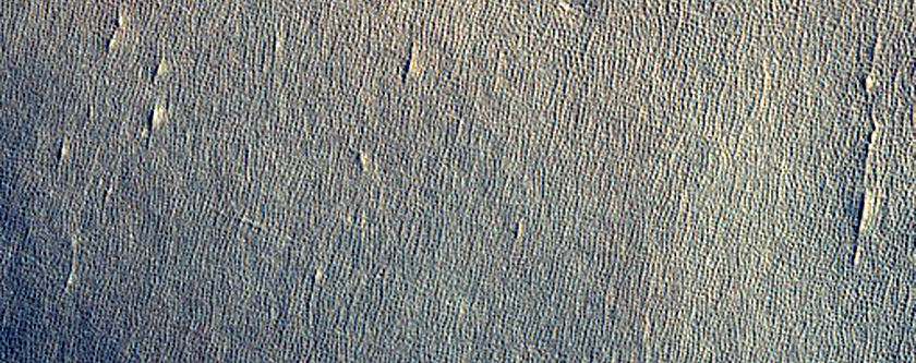 Northern Plains Terrain