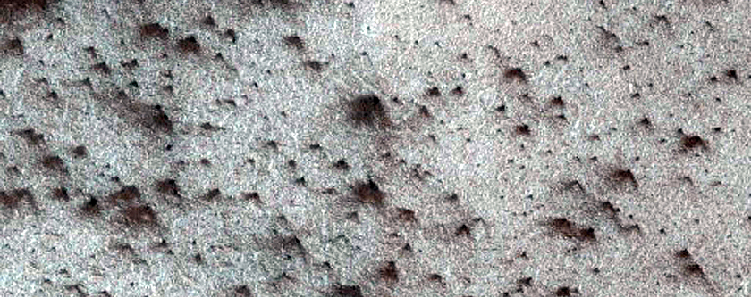 Spiders in Polar Layer Deposits Monitoring