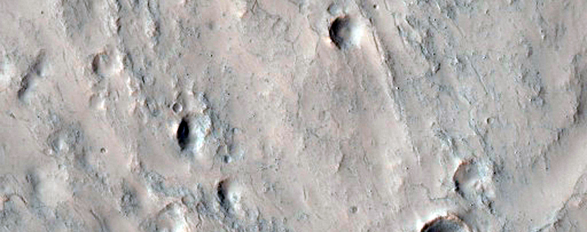 Gullies in Southern Mid-Latitude Crater