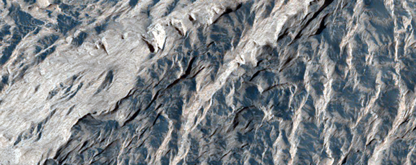 Dark Features in Baetis Mensa