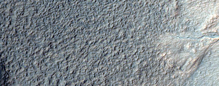 Gullies in Crater in Terra Sirenum
