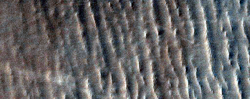 Linear Gullies in Hellas Planitia