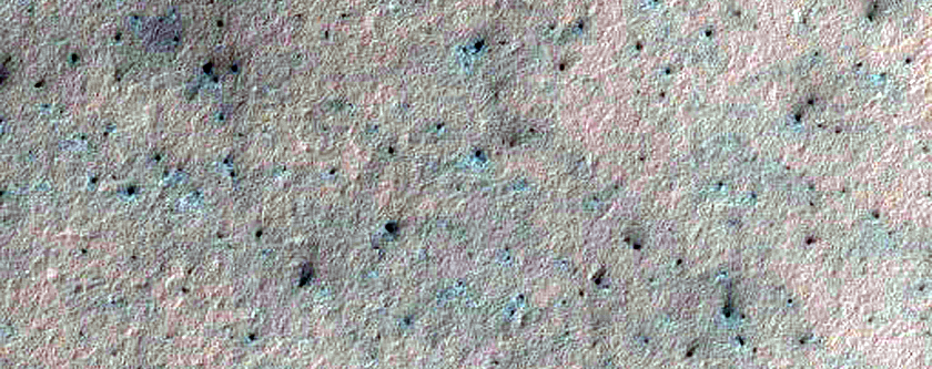 Spiders in Polar Layer Deposits Monitoring