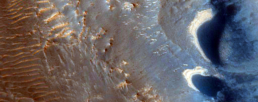 Dunes with Light Lower Slopes in CTX Image