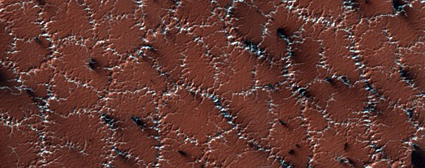 Bright and Dark Fans on Patterned Ground