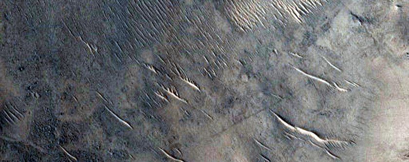 Floor of Large Impact Crater