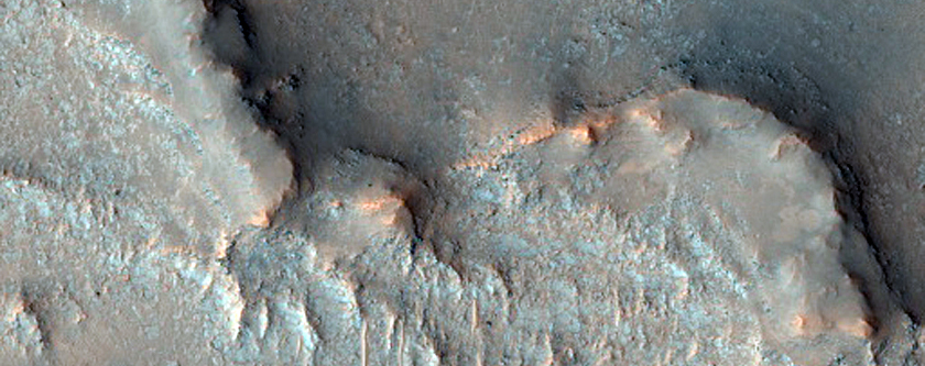 Syrtis Major Region Crater Floor