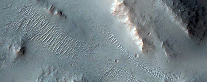 Fans and Olivine-Rich Bedrock in Kontum Crater