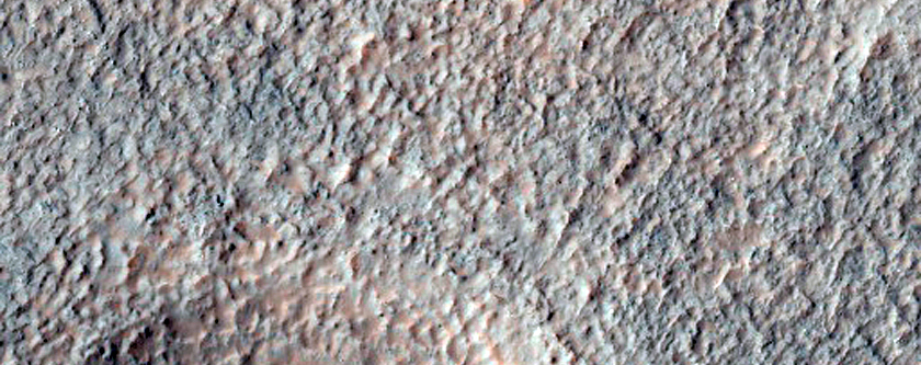 Olivine-Rich Crater Floor in Terra Sirenum