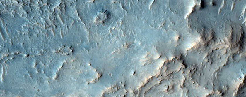 Floor of Large Infilled Crater