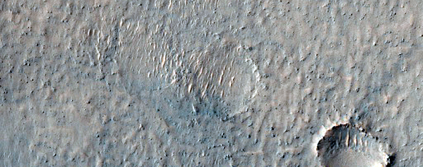 Crater Floor in Terra Cimmeria