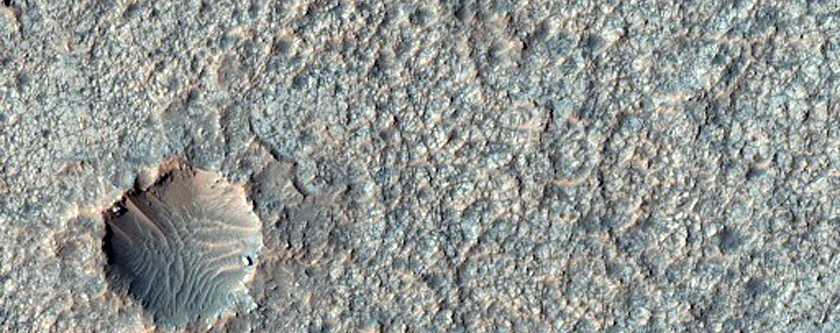 Muller Crater