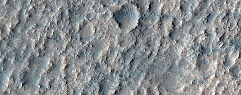Bedrock Outcropping