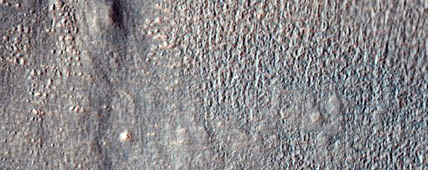 Gullies in Southern Mid-Latitude Crater