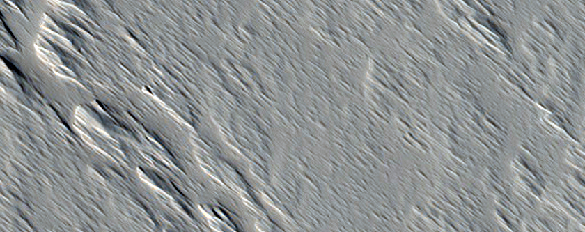 Proximal Section of Long Lava Flow Near Ascraeus Mons