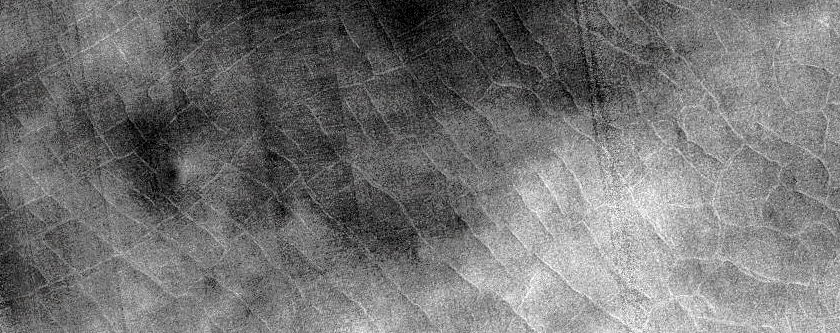 Polygons in Impact Craters