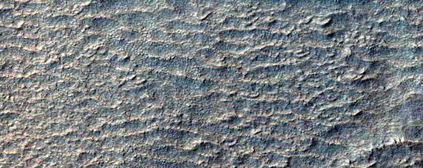 Gullies and Ridges in Mid-Latitude Southern Crater