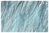 A New Gully Channel in Terra Sirenum