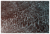 Frost Enhancement of Polygon Visibility Near MOC S18-00731