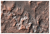 Looking for Salts on Mars