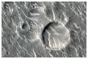 Des crtes dans Isidis Planitia