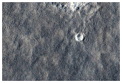 Possible Terraced Crater in Arcadia Planitia