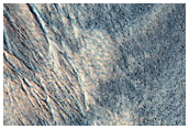 Gully Monitoring
