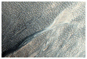 Gullied Crater Wall