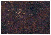 Candidate New Impact Site