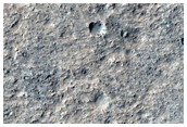 Rim of Lederberg Crater