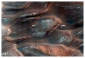 Dunes Dubbed Buzzel