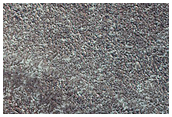 North Polar Layer Exposure
