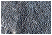 Northern Plains Crater Morphology