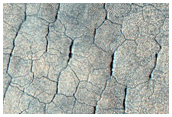 Ring Fractures and Scalloped Depressions