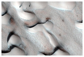 Dunes Dubbed Kolhar