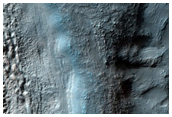Western Hellas Planitia