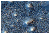 Southern Acidalia Planitia Domes