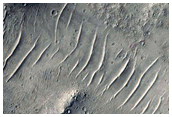 Well-Preserved 10-Kilometer Impact Crater in Southern Elysium Planitia