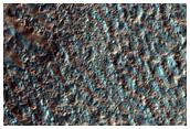 Hellas Planitia