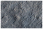Northern Plains Crater Morphology