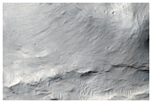 Sinuous Ridges in the Western Medusae Fossae Formation