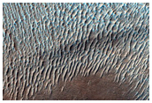 Hellas Planitia