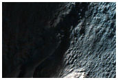 Gully Frost Monitoring
