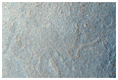 Mounds with Aprons in Arcadia Planitia