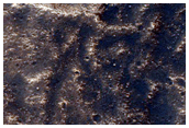 Lava Flow Near Elysium Mons