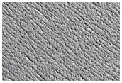 North Polar Ice Cap Sample